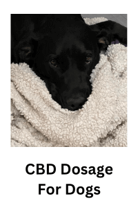 CBD dosage for dogs