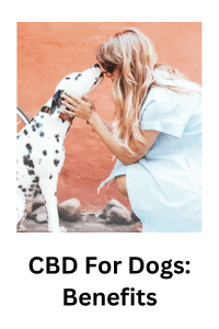 CBD for dogs benefits