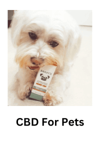 CBD for pets