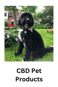 CBD pet products