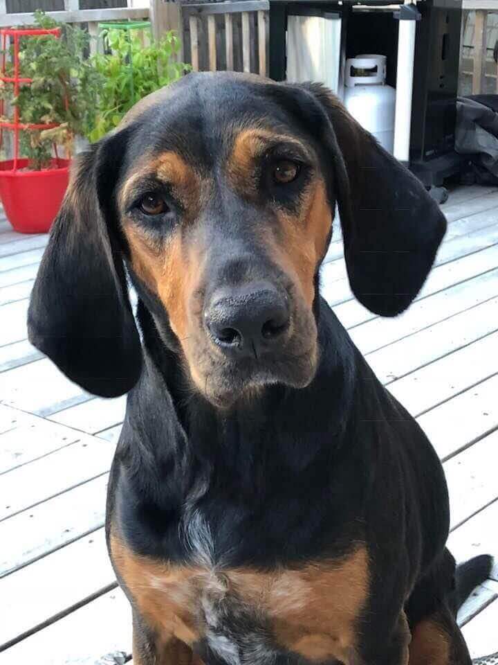 deb3