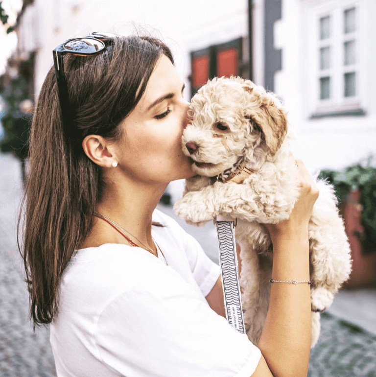 Puppy receiving affection from owner.