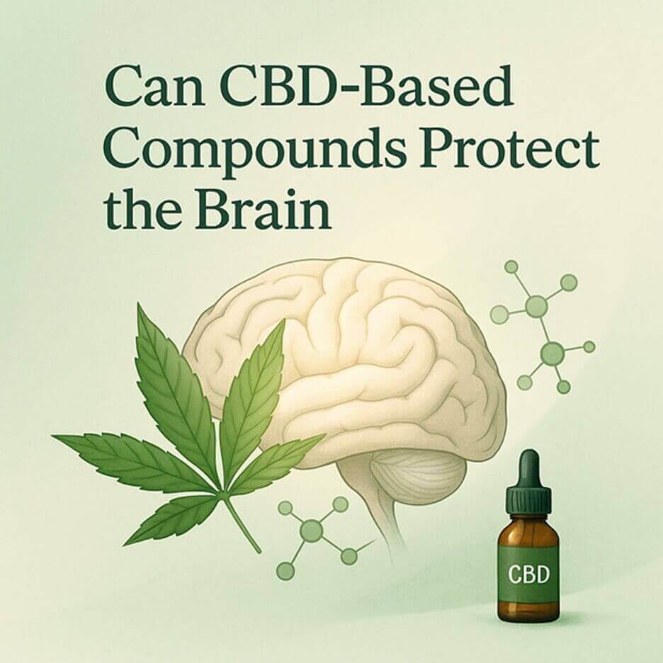 CBD based compounds protect the brain