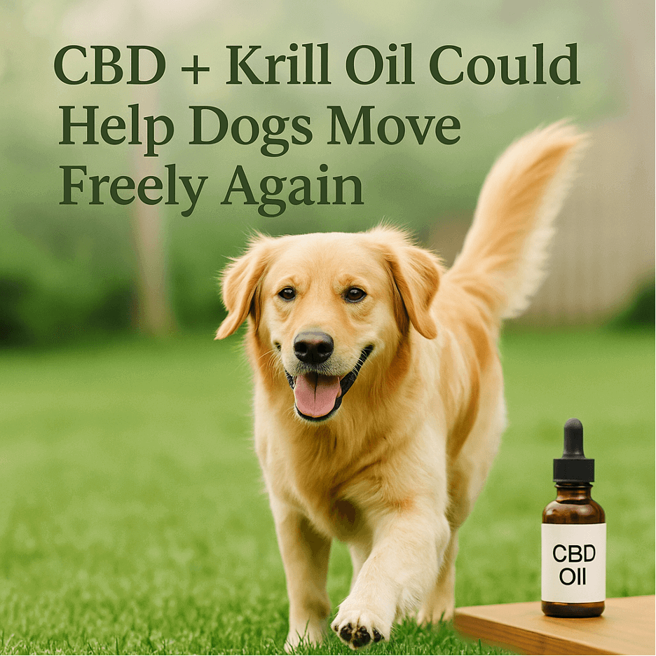 cbd krill dogs