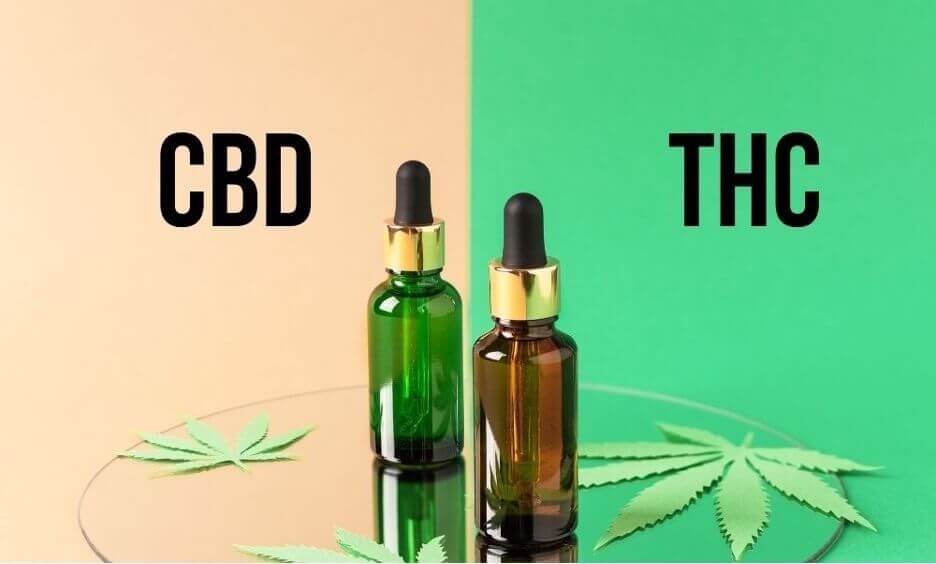 Why CBD and THC Work Better Together