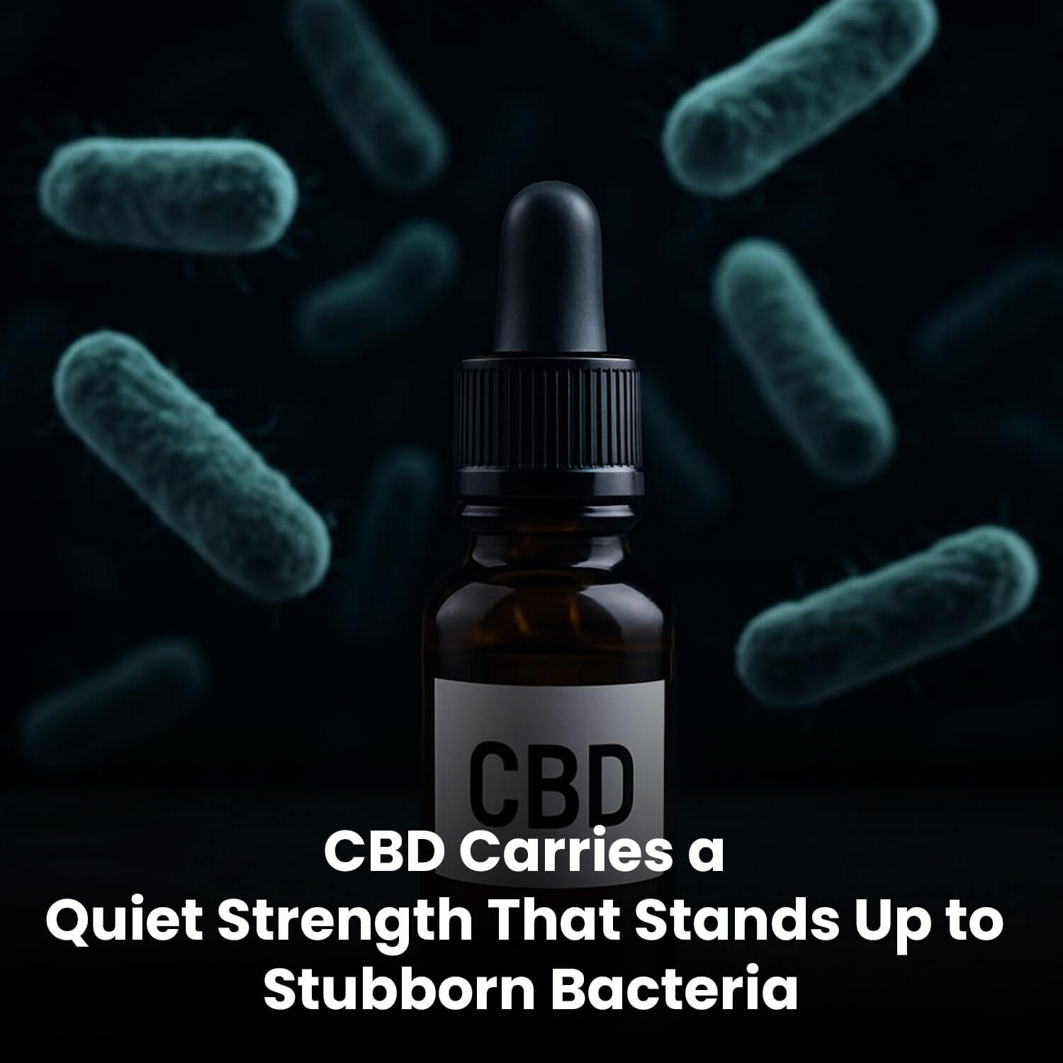 CBD-and-bacteria