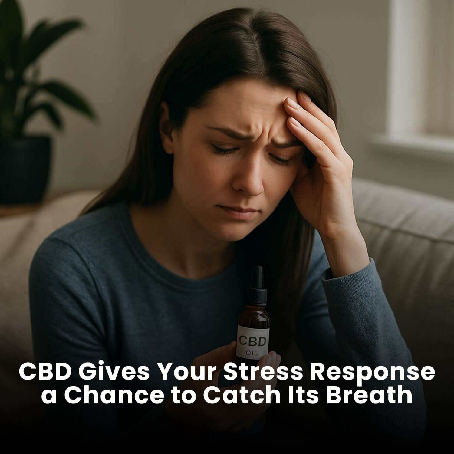 CBD Gives Your Stress Response a Chance to Catch Its Breath