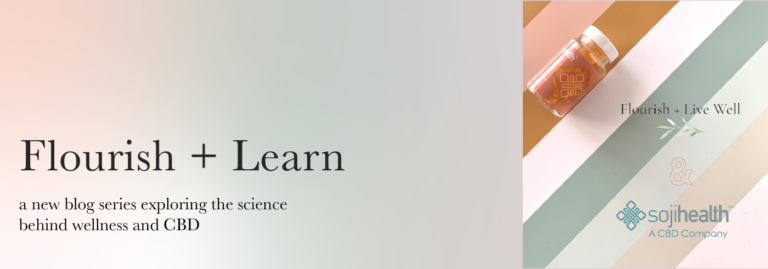 Introducing Our New Blog Series: Flourish + Learn
