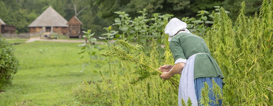 Hemp is Hip & Historic-Take It from George Washington