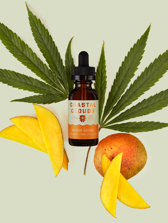 Coastal Clouds Mango Diesel 1500mg CBD 1oz  